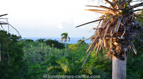 photos for SOSUA: LOT VISTA OCEANA